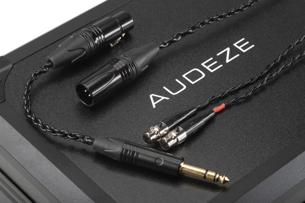Dual 4-pin mini-XLR cable and 6.35 mm jack plug on the carrying case