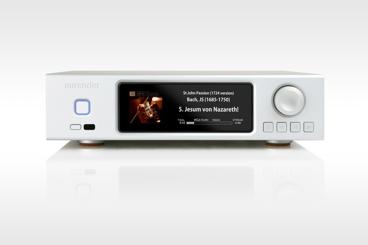 Rear panel: RCA outputs, digital inputs and drive bays
