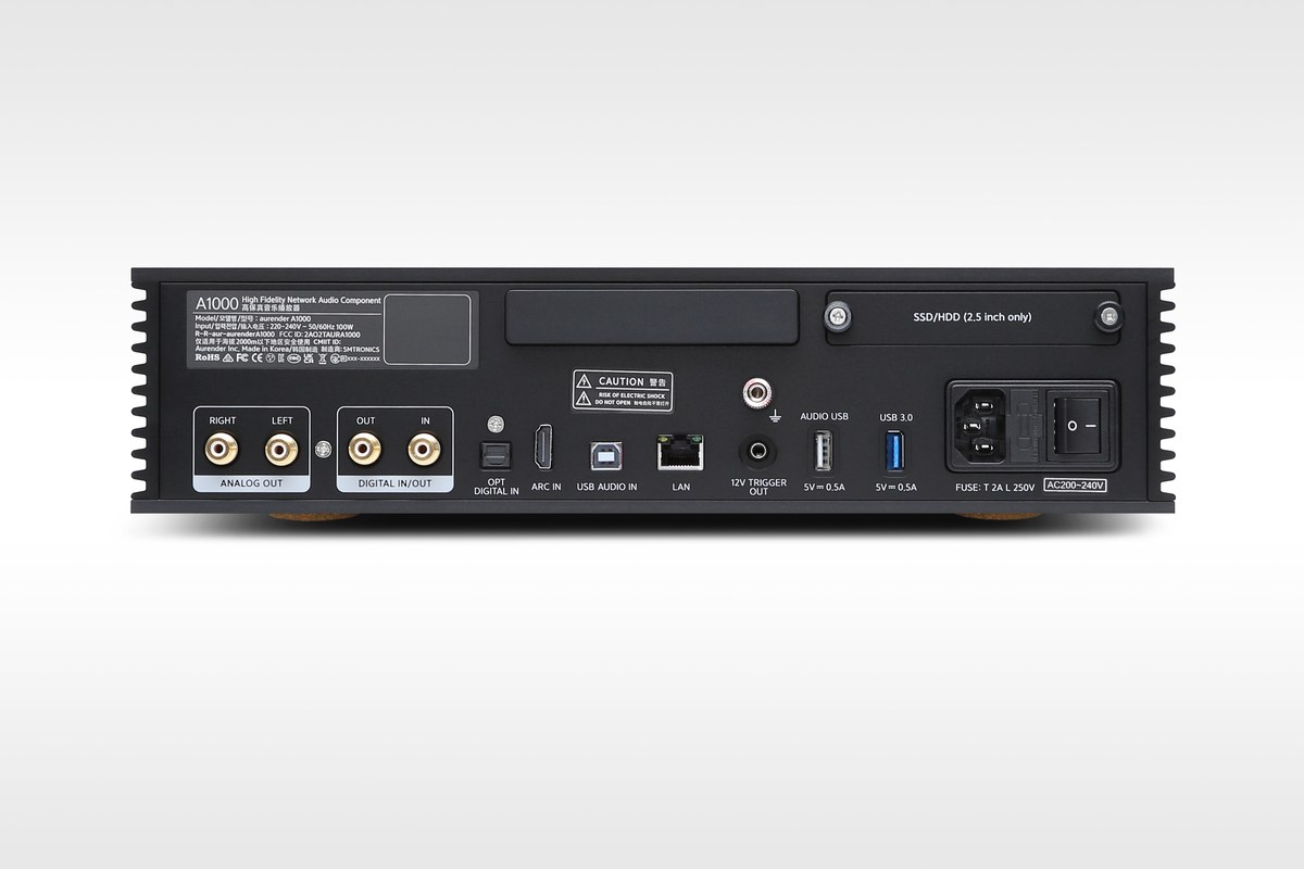 Rear panel: digital inputs, RCA outputs and Ethernet port
