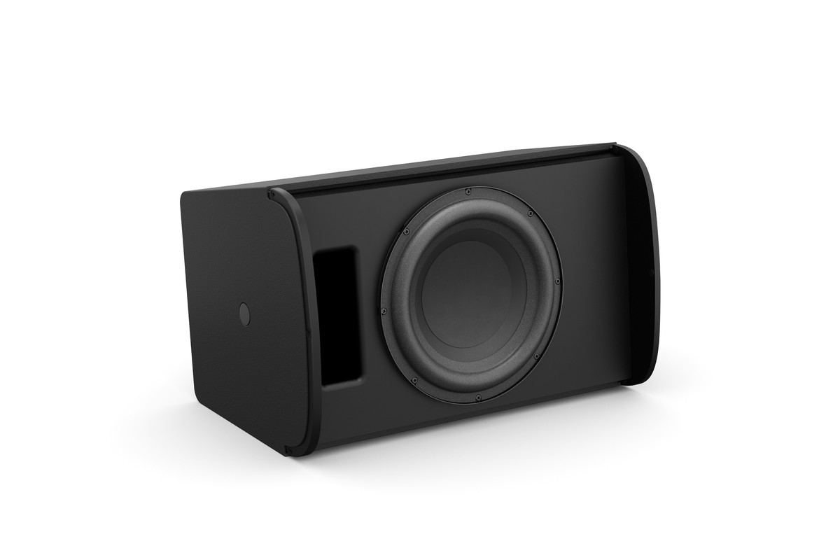 Bose Professional DesignMax DM 10S-SUB subwoofer
