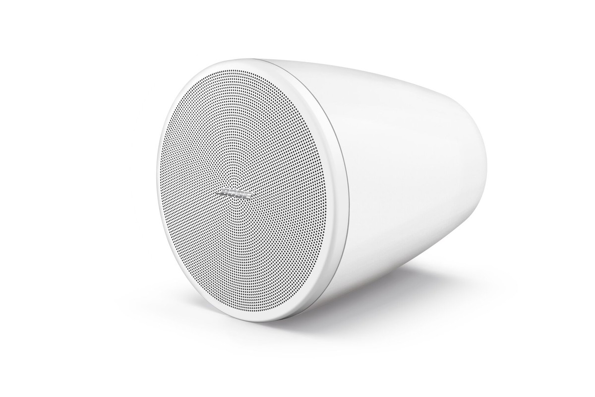 Altoparlante sospeso Bose Professional DesignMax DM 3P