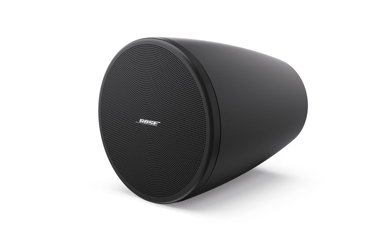 Altoparlante sospeso Bose Professional DesignMax DM 3P