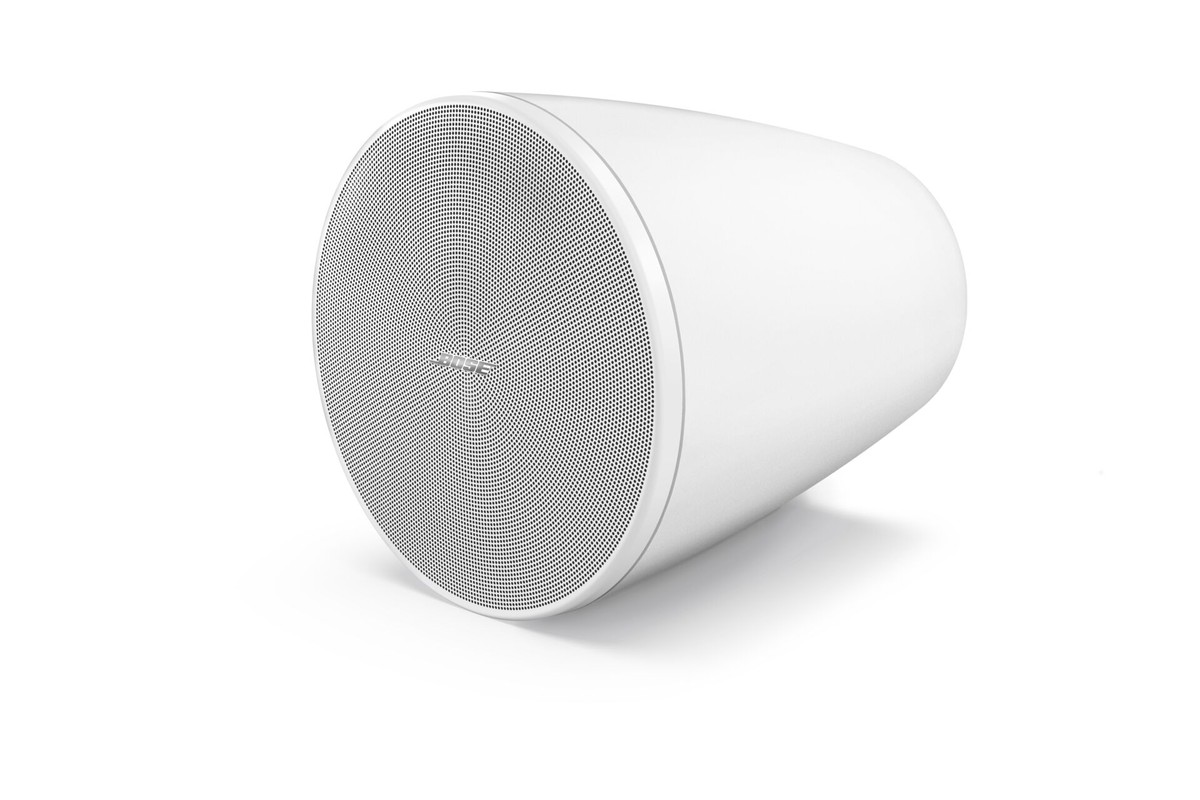 Altoparlante sospeso Bose Professional DesignMax DM 5P