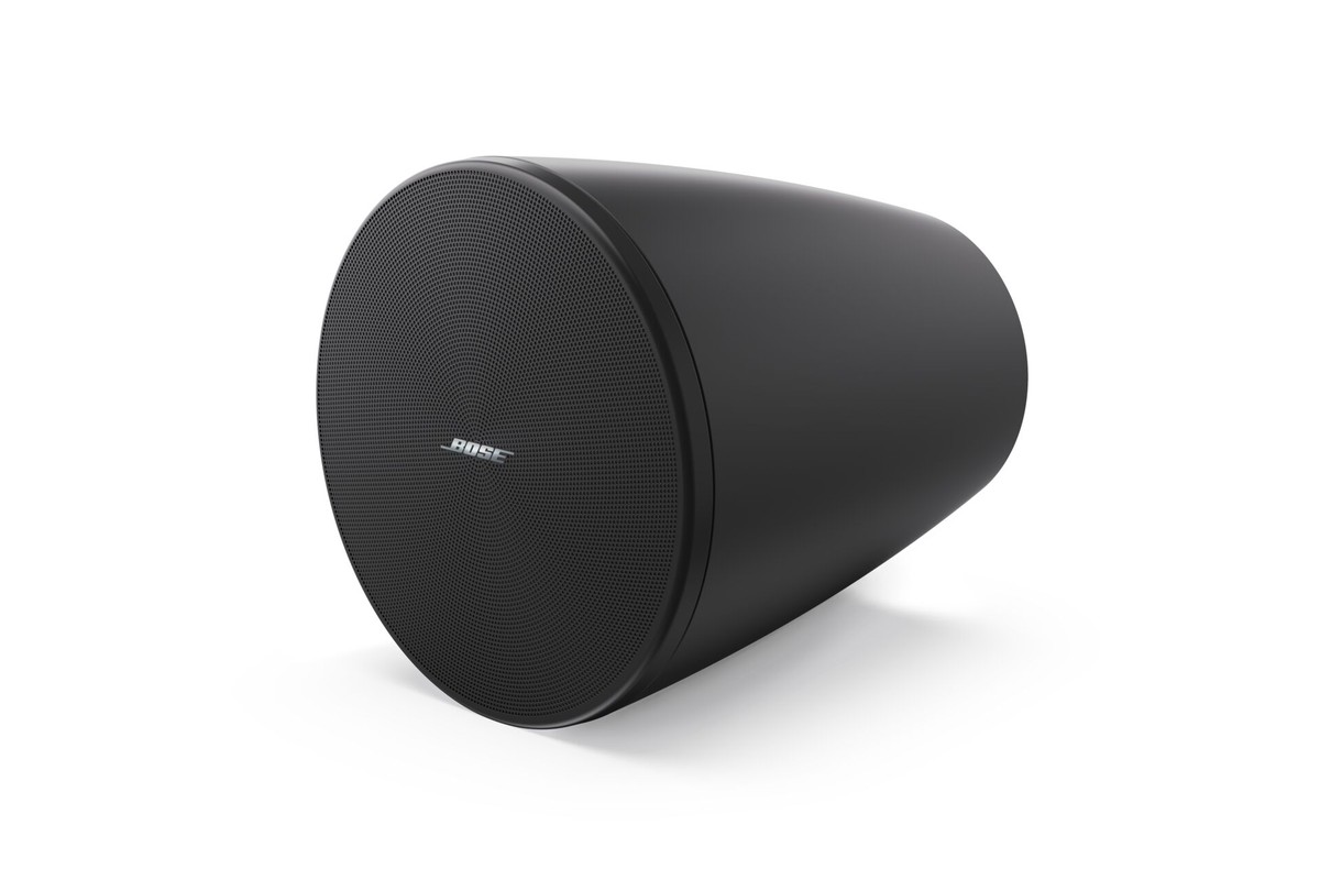 Enceinte suspendue Bose Professional DesignMax DM 5P
