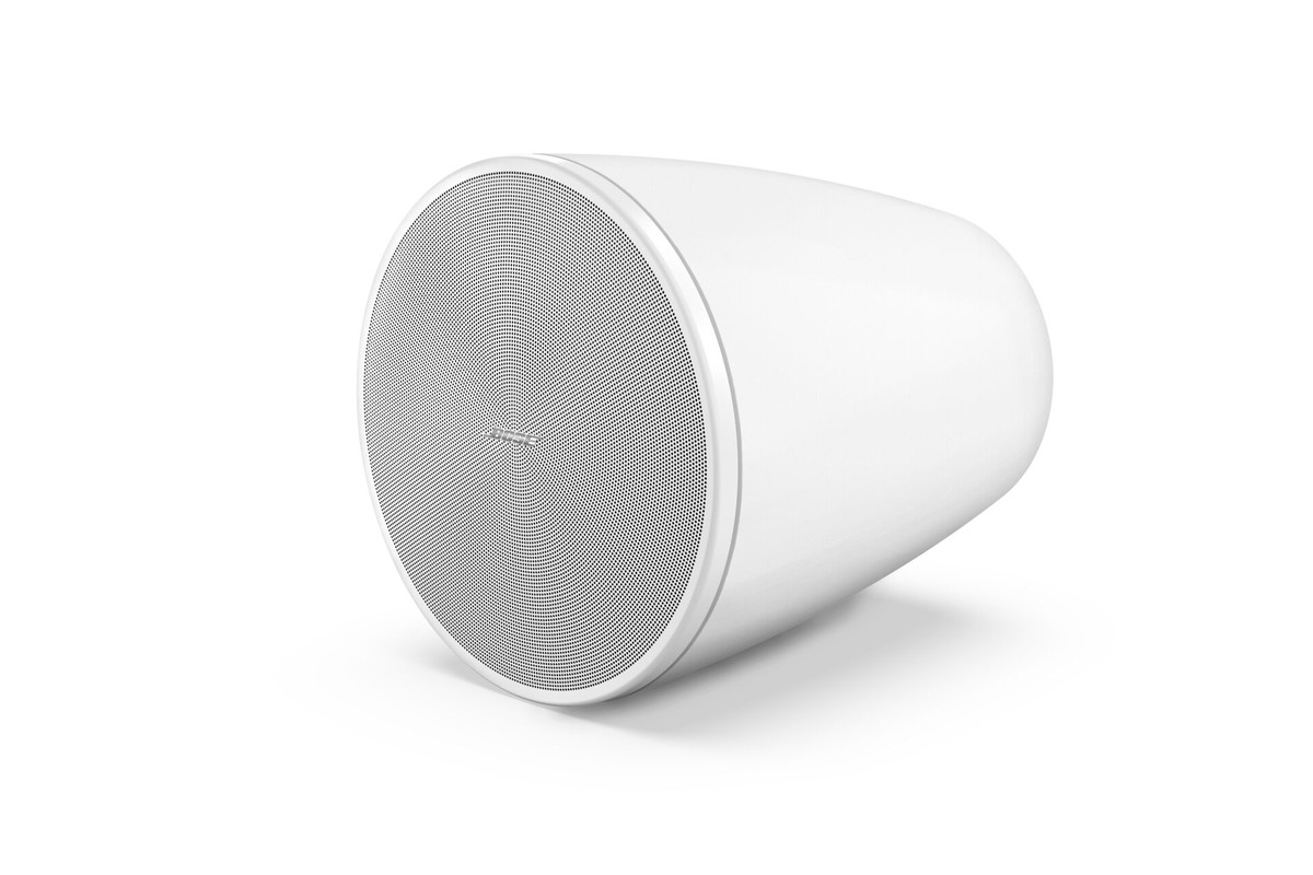Enceinte suspendue Bose Professional DesignMax DM 6PE