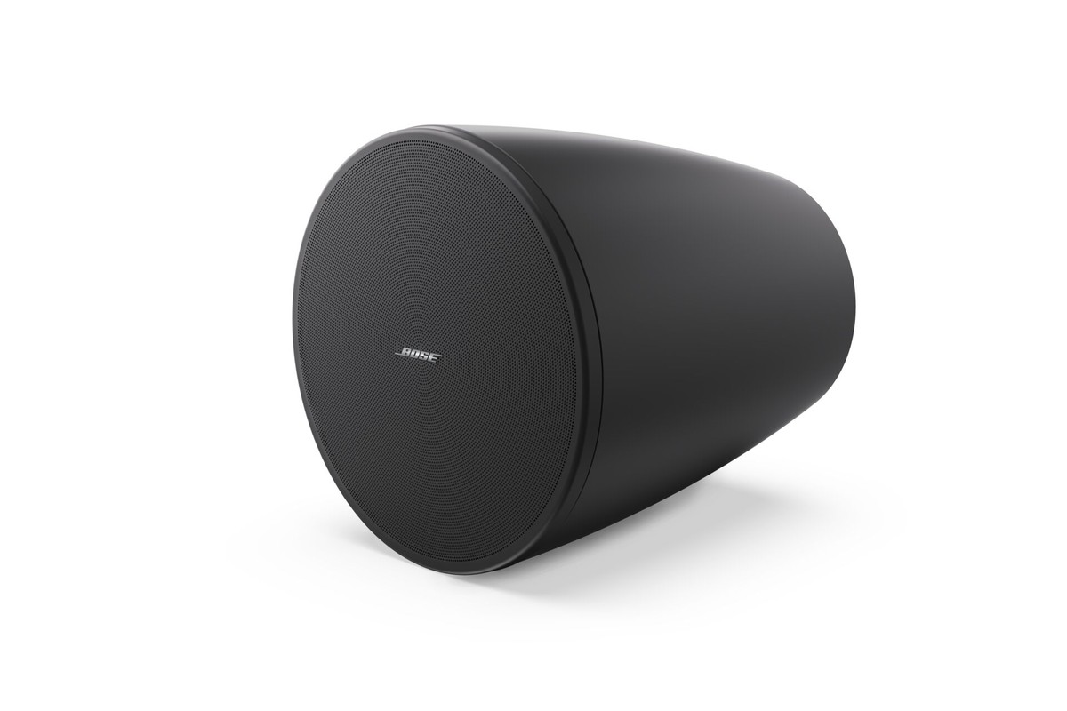 Enceinte suspendue Bose Professional DesignMax DM 6PE