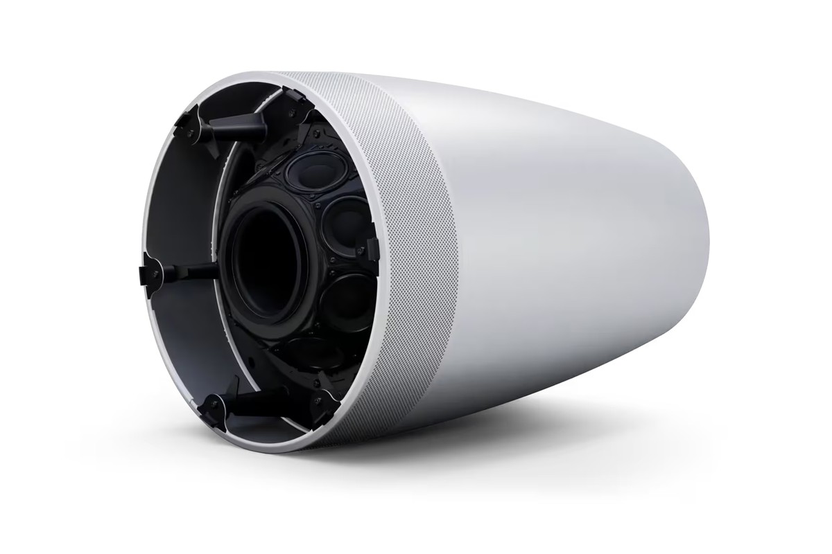 Woofer da 8 pollici visto da sotto