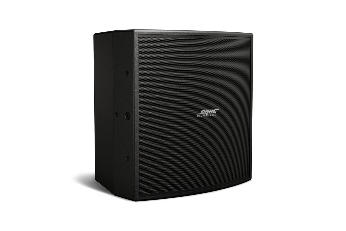 Woofer 12 pollici con griglia rimossa