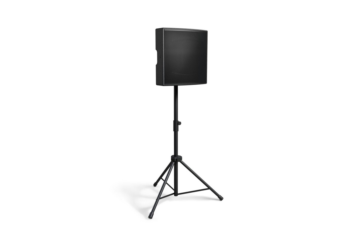 Woofer 12 pollici con griglia rimossa