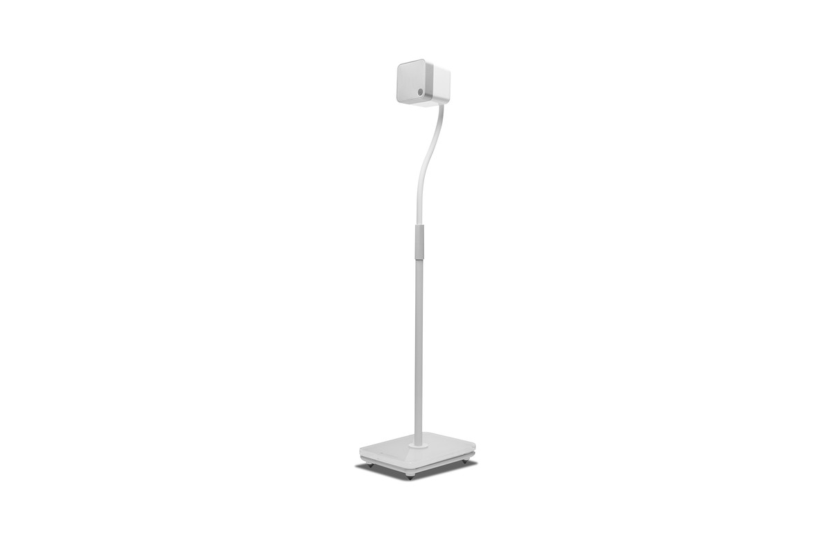 White foot bearing a min 12 speaker