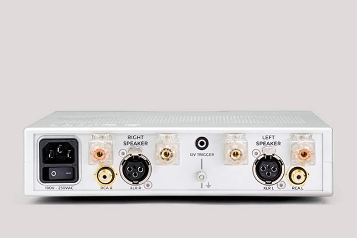 Face arrière de l'amplificateur : entrées XLR et RCA, bornes d'enceintes