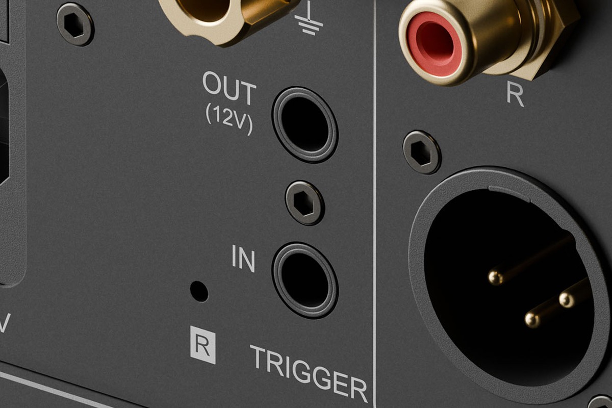 Sorties symétriques XLR et prises trigger du Eversolo DAC-Z10