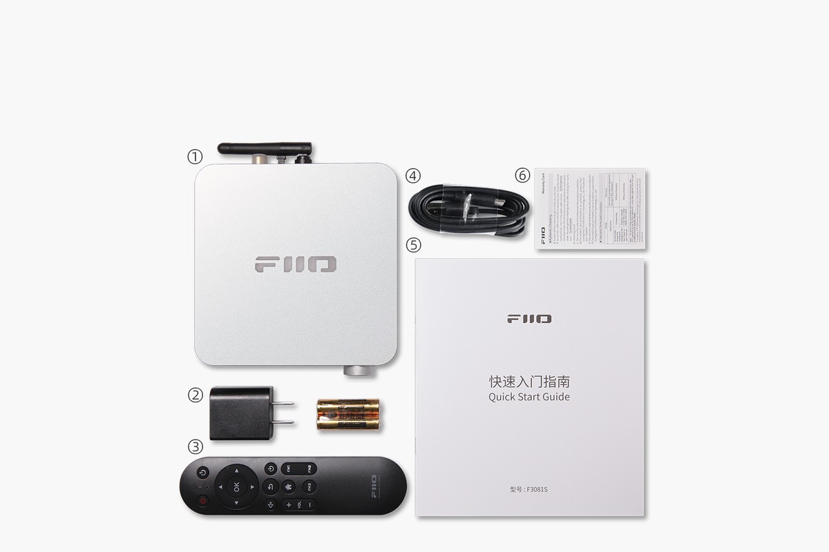 Processeur et écran du FiiO SR11