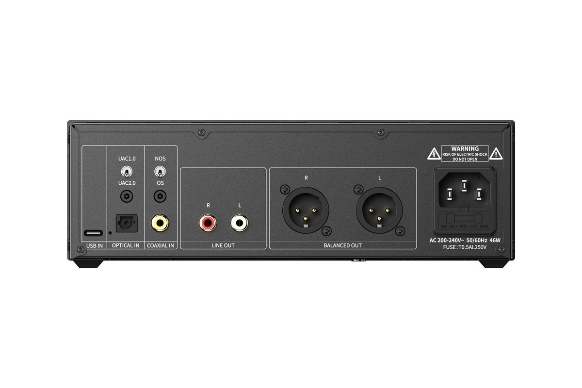 Rear panel with the RCA and XLR outputs of the WARMER R2R