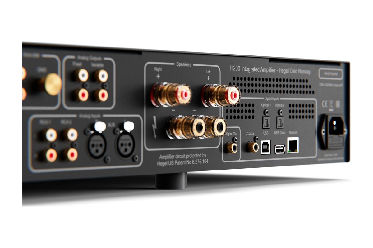 Rear and connectivity of the amplifier