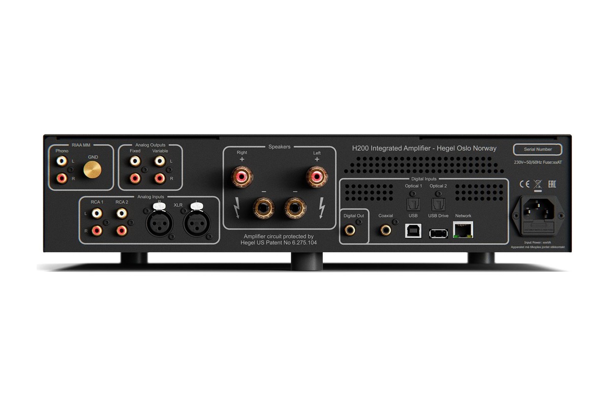 Speaker terminal block and analog inputs