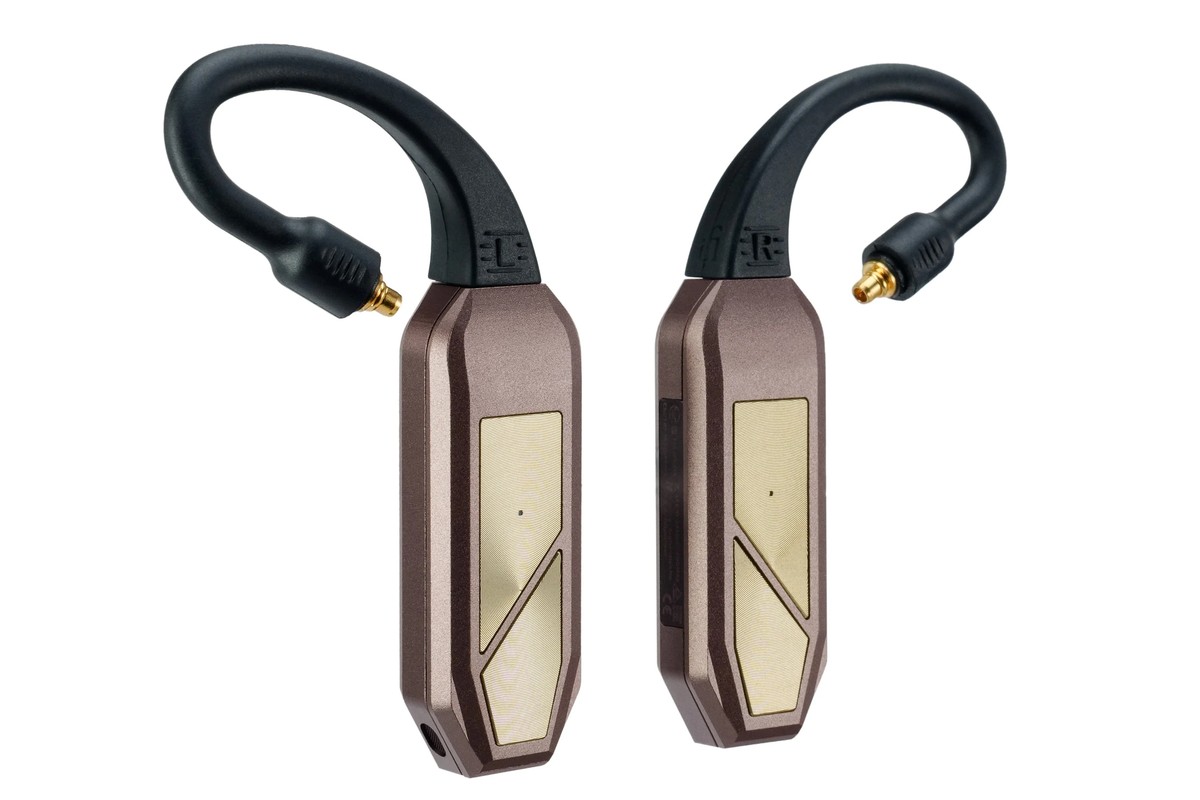 iFi Audio GO pod Max avec son boîtier