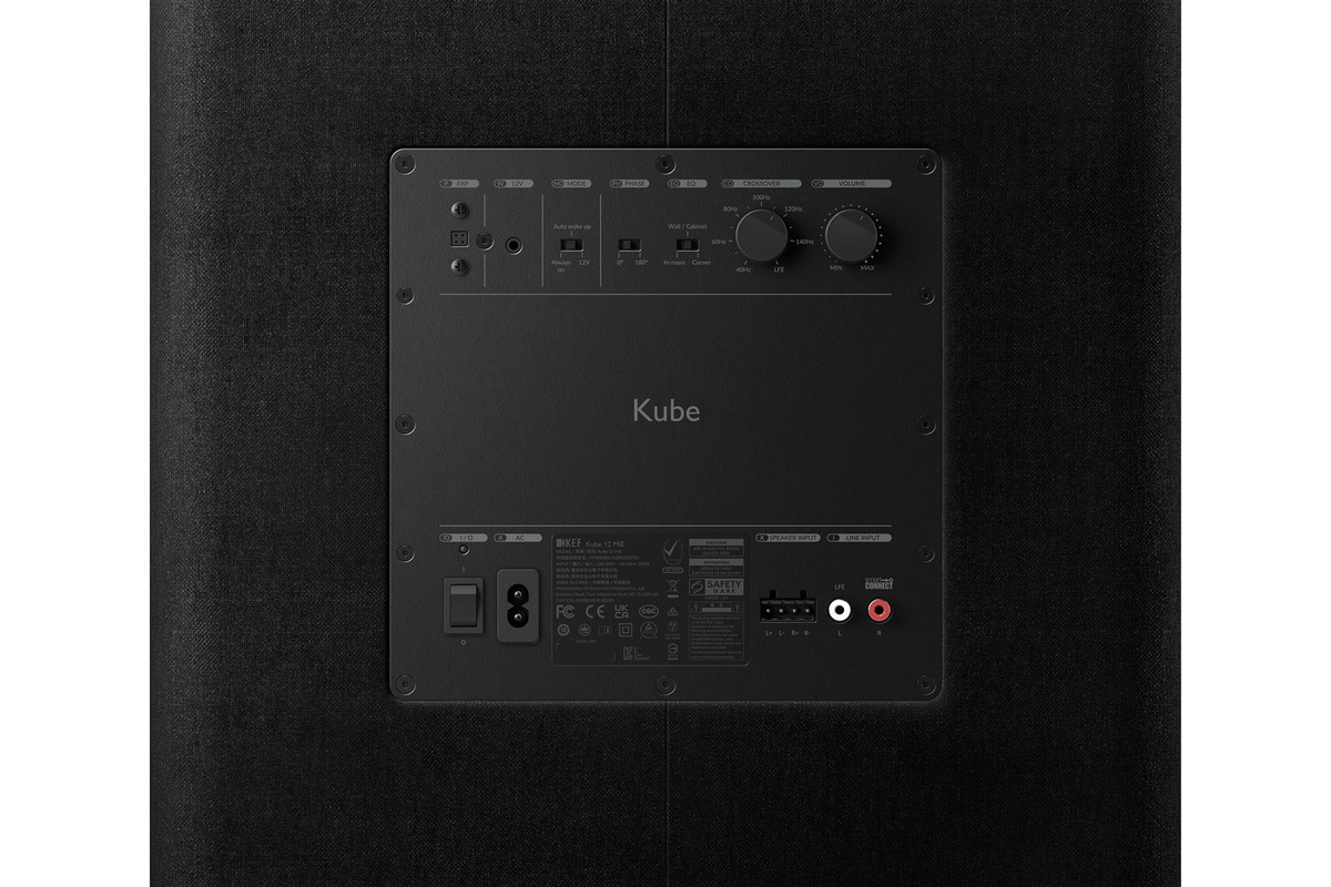 Panneau amplificateur arrière avec ses entrées et réglages