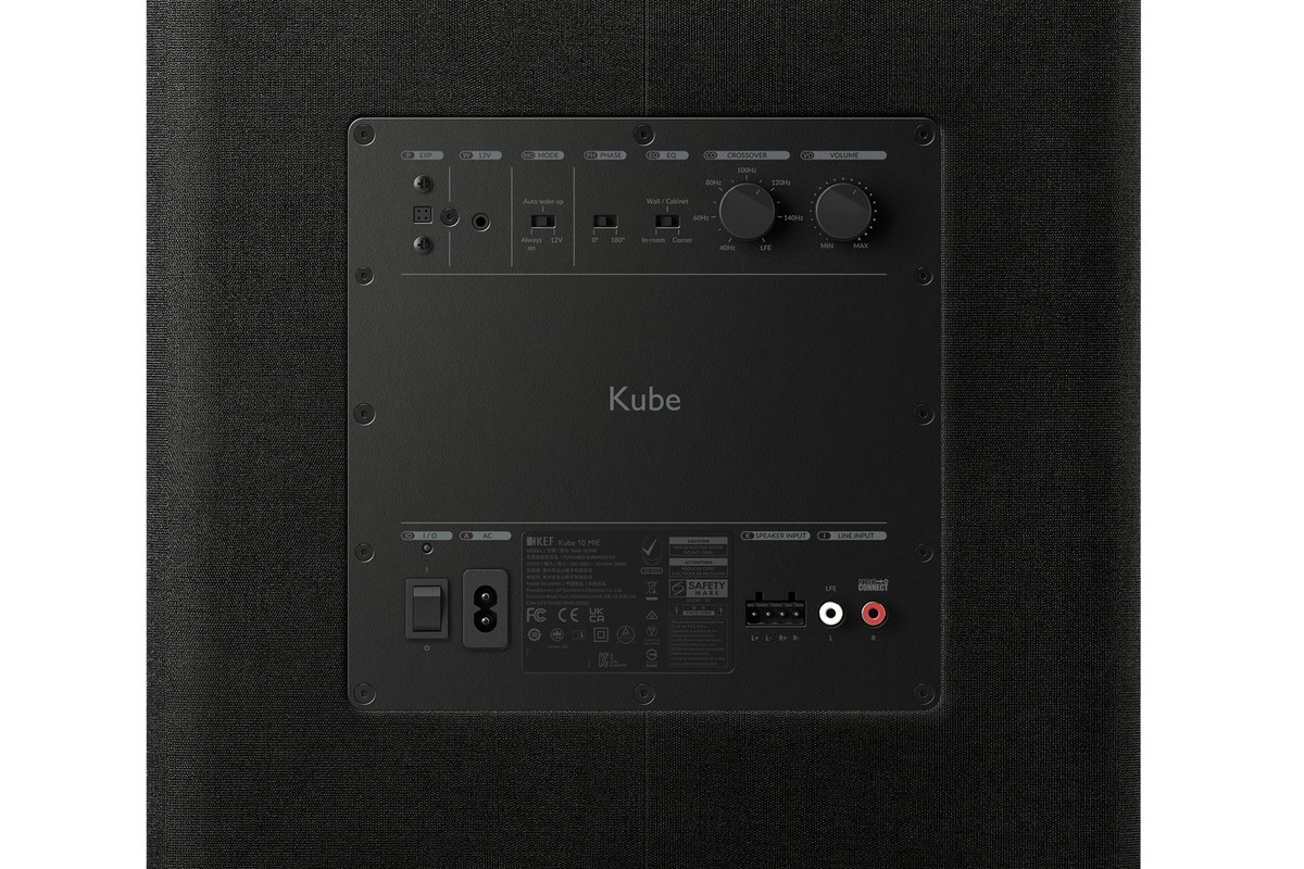 Panneau amplificateur arrière avec ses entrées et réglages