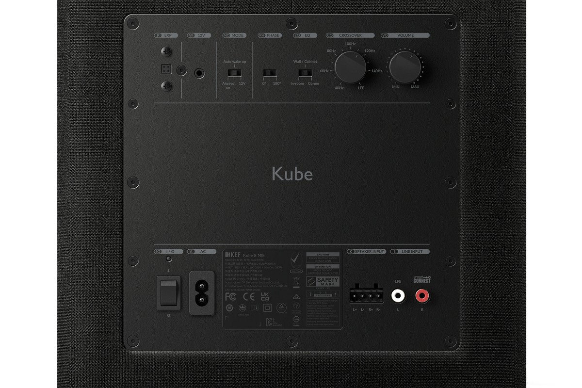 Panneau amplificateur arrière avec ses entrées et réglages
