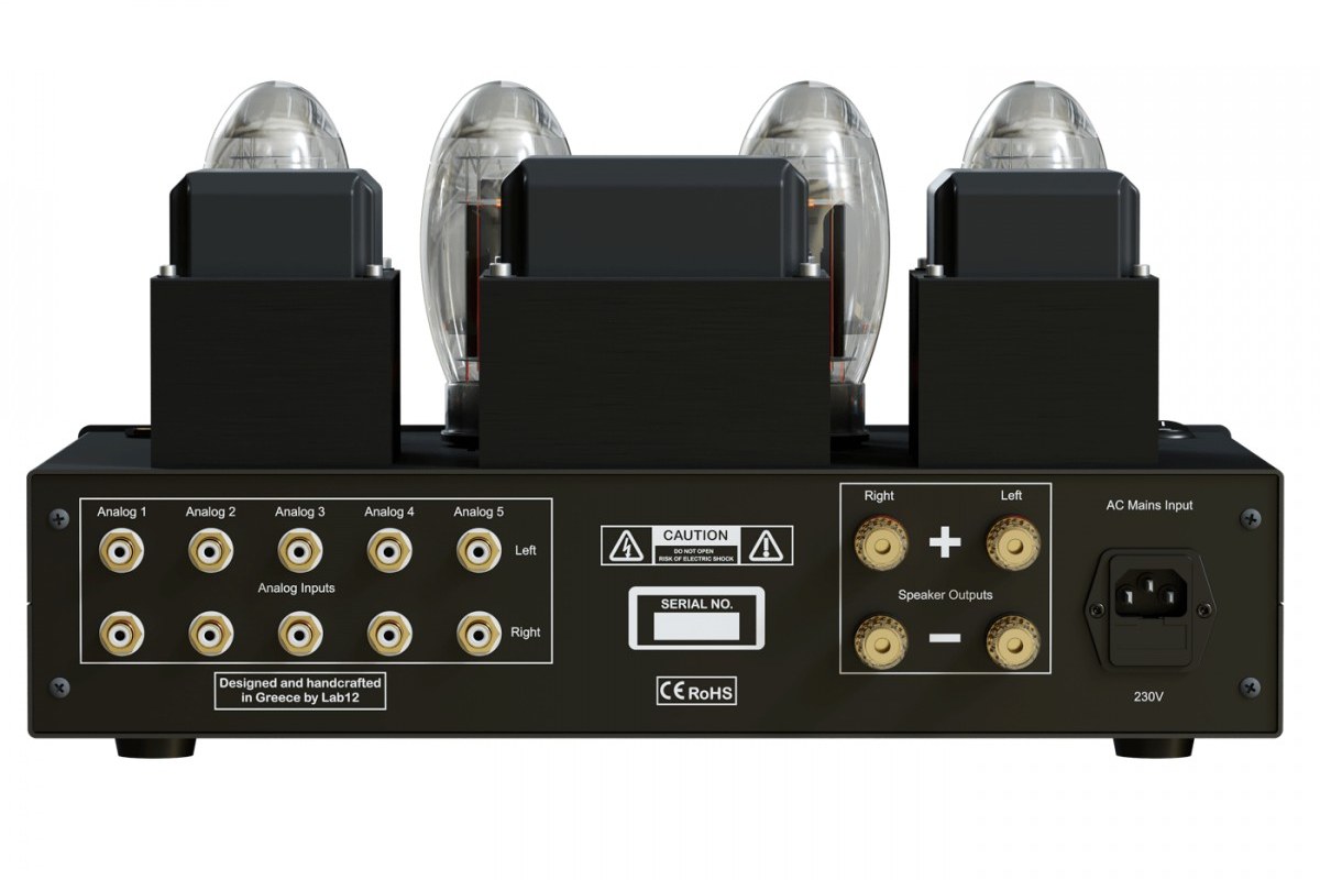 Rear panel with RCA inputs, speaker terminals and mains socket