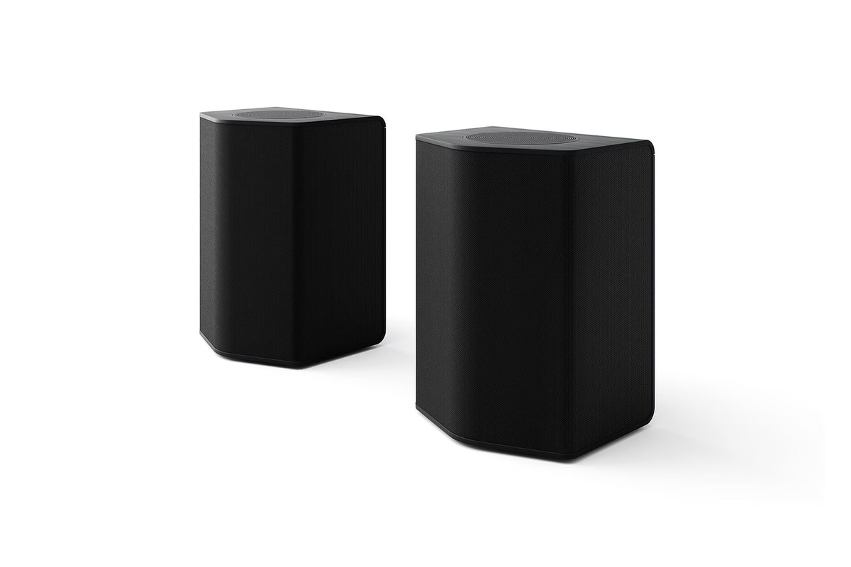 The two wireless rear speakers supplied with the LG DS95TR
