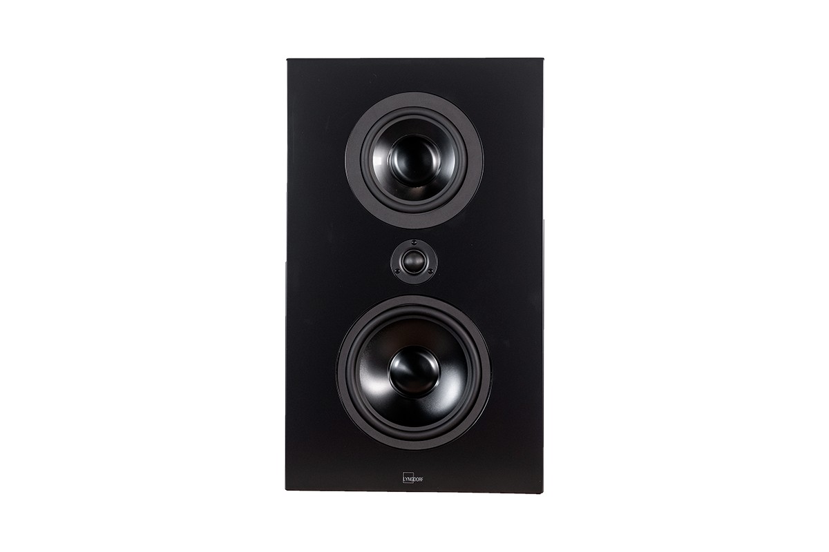 Drivers of the black speaker
