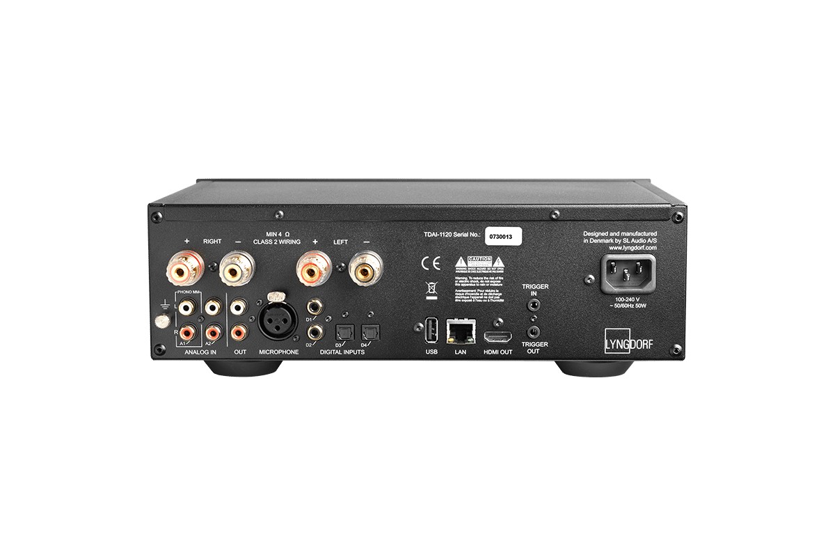 Back panel of the amplifier and its connections