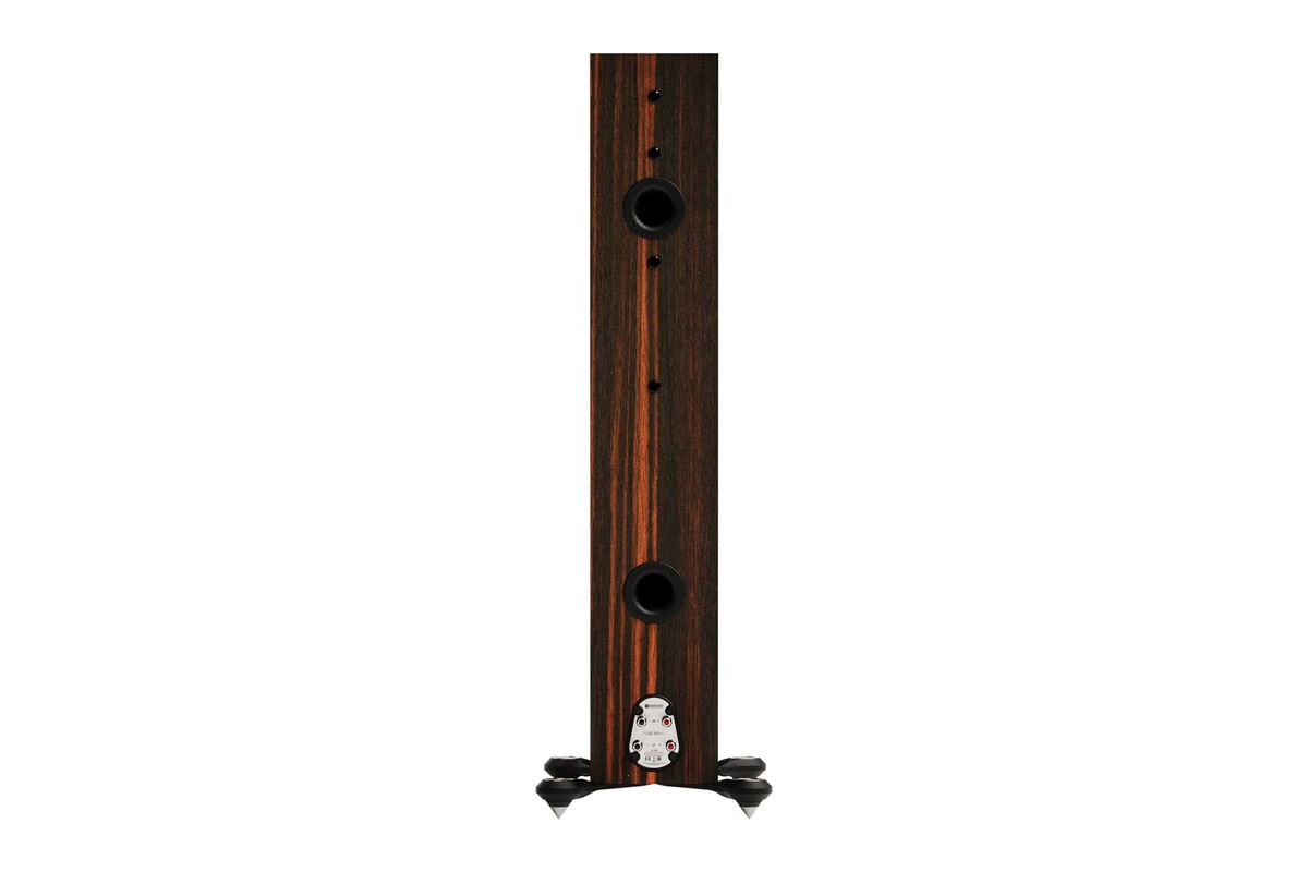 Rear panel of the floorstander