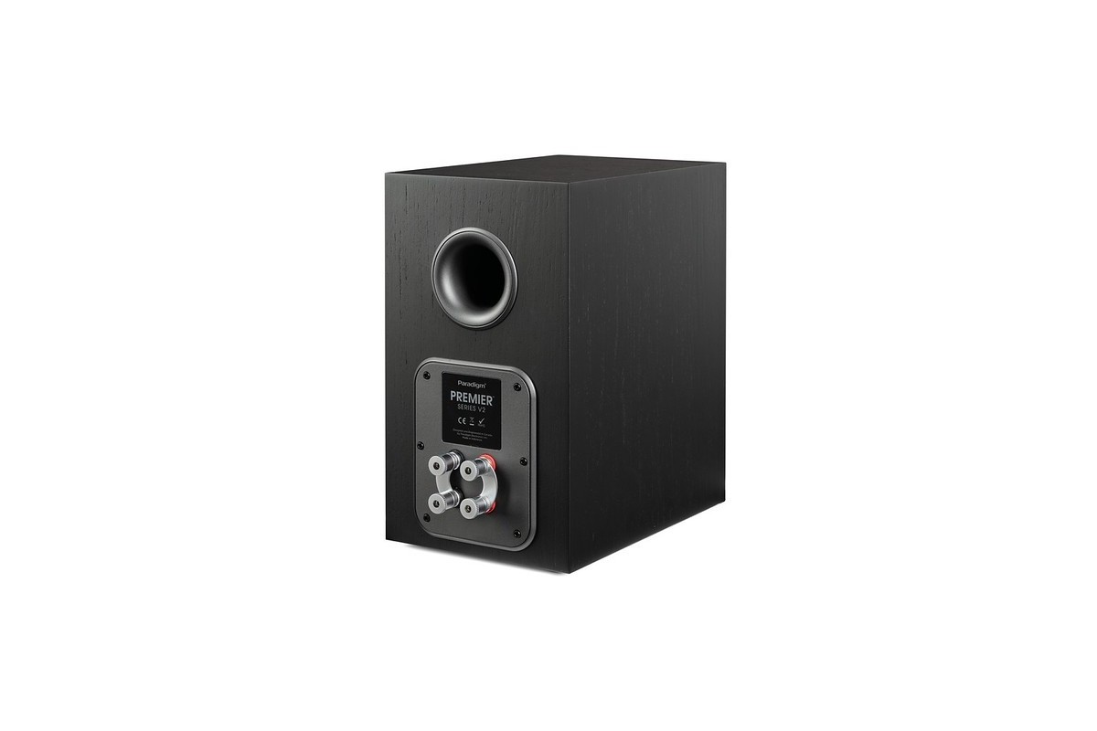 Black rear panel with bass-reflex port and terminals