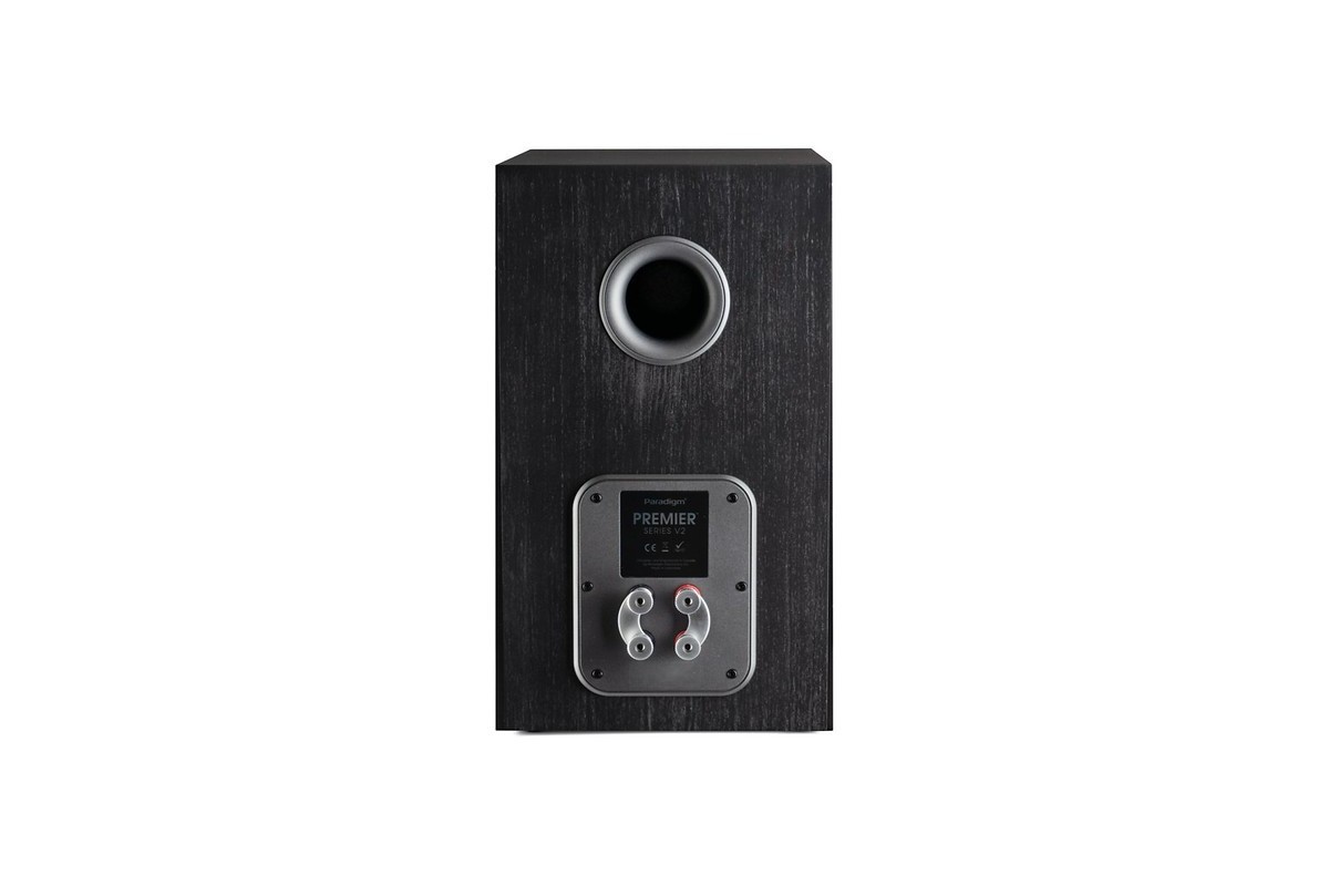 Black rear panel with bass-reflex port and terminals