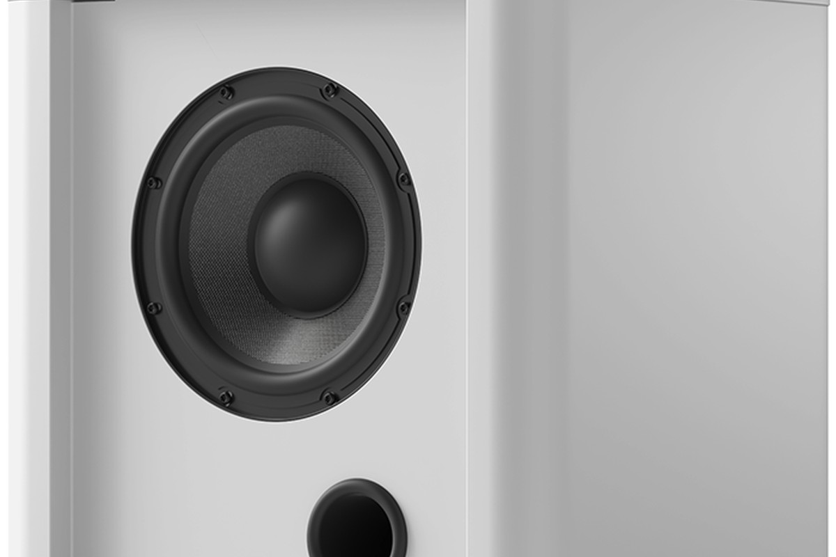 Deux haut-parleurs LDB de 22 cm du PS 101