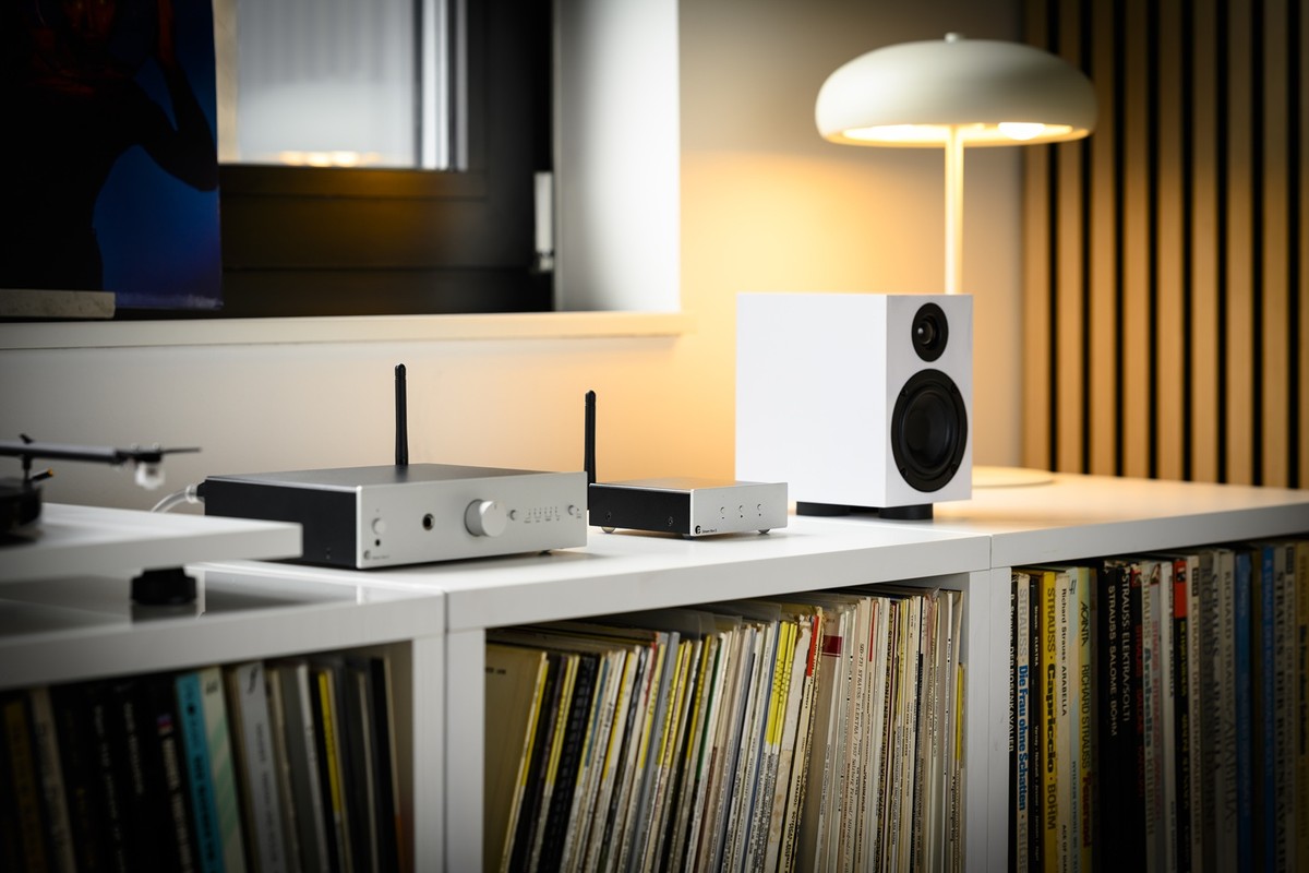 Streamer argento su uno scaffale di dischi in vinile