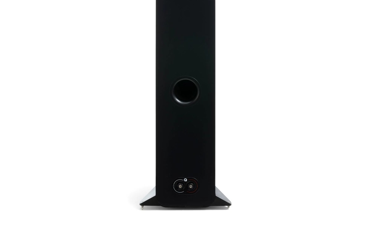 Lower back of a black speaker with its binding posts and stabiliser