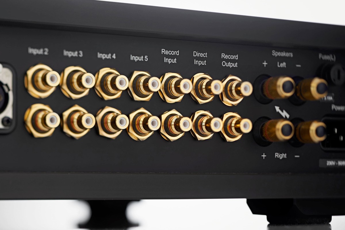 Rear face and golden connectivity of the amplifier