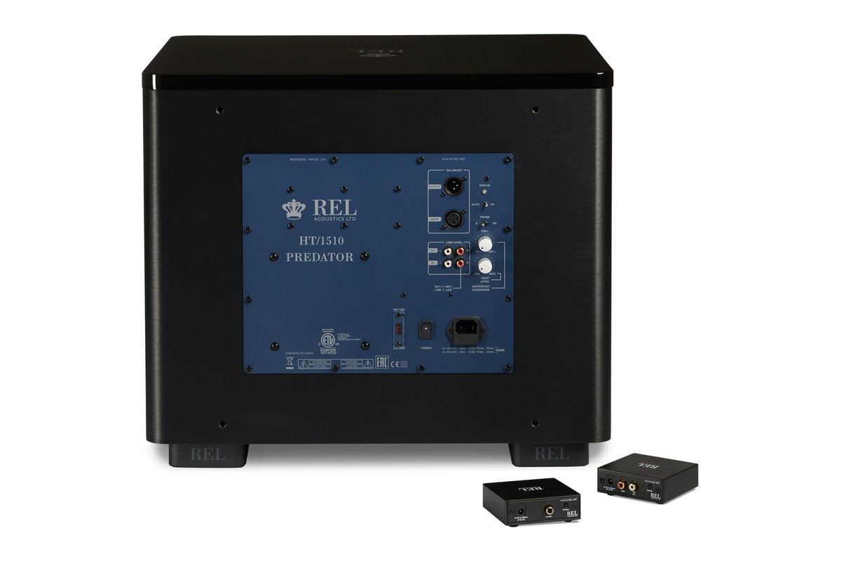 Panneau arrière bleu avec entrées XLR et RCA, devant deux modules sans fil