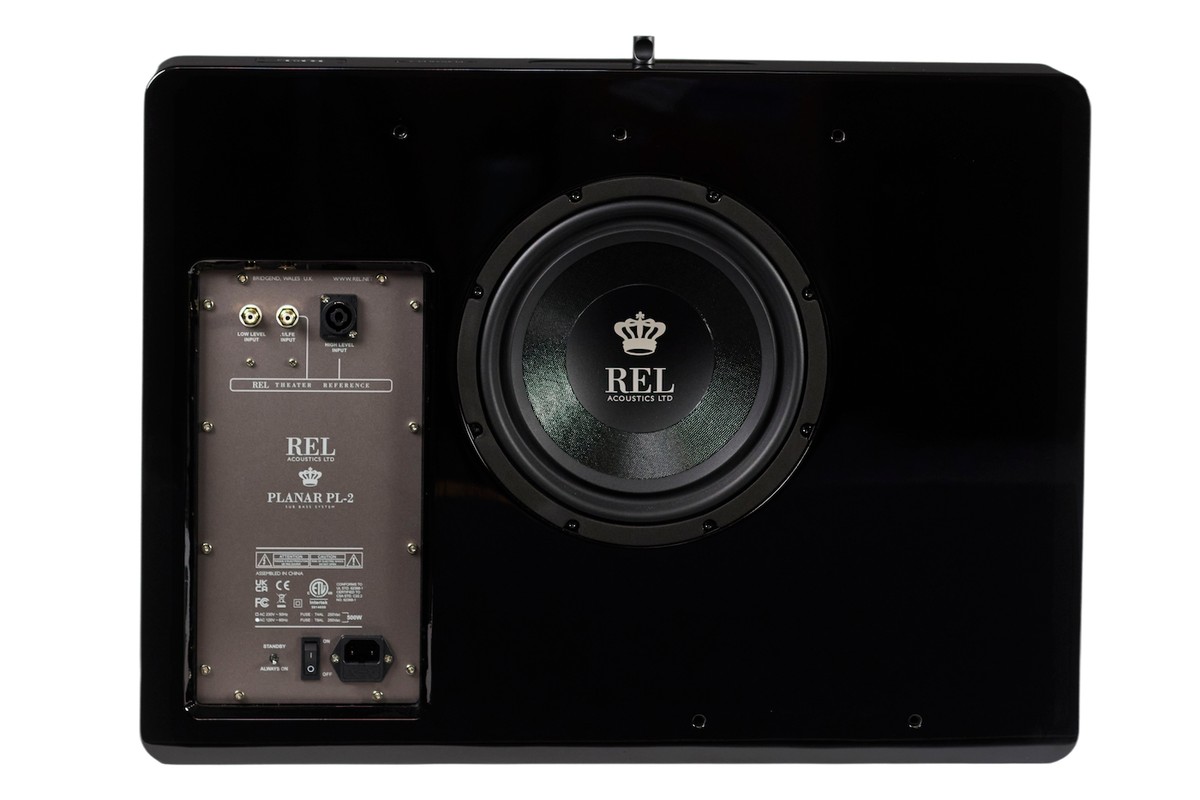 Rear panel with passive radiator and amplifier module