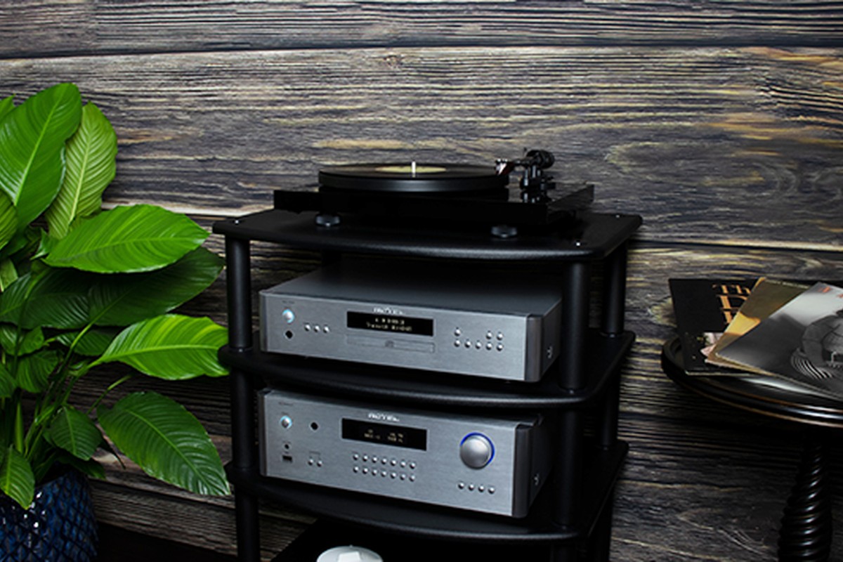 Connectique XLR arrière
