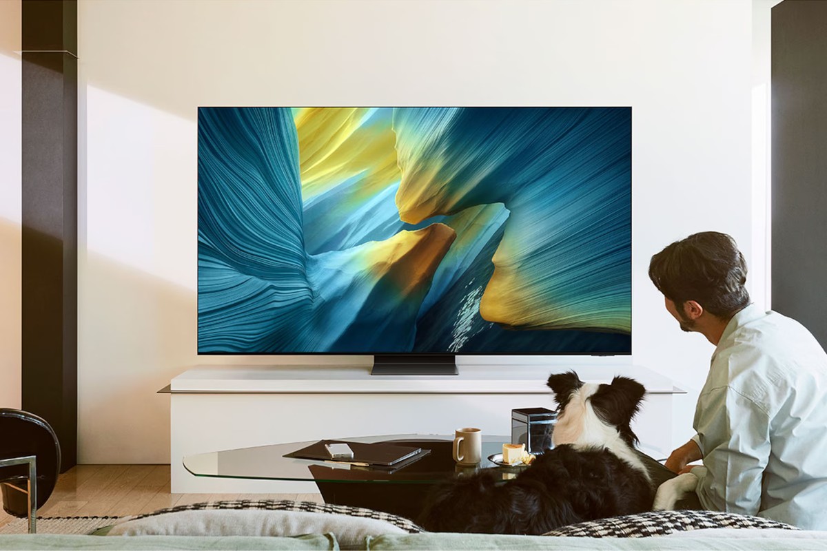 Televisore Samsung QE77S95FATXZU installato in un soggiorno