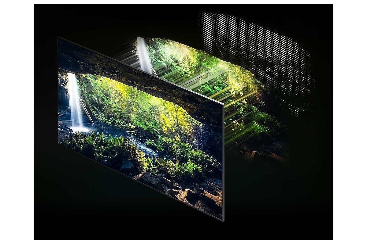 Écran diffusant une scène de forêt tropicale