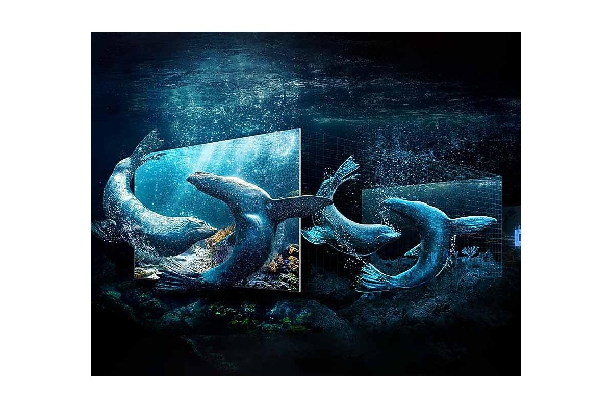 Scène sous-marine affichée en pleine largeur
