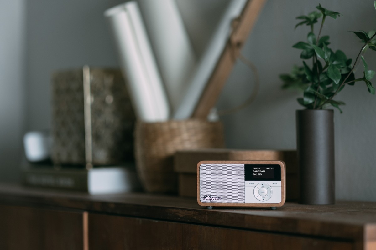 Radio sur une étagère, entre des livres et une plante