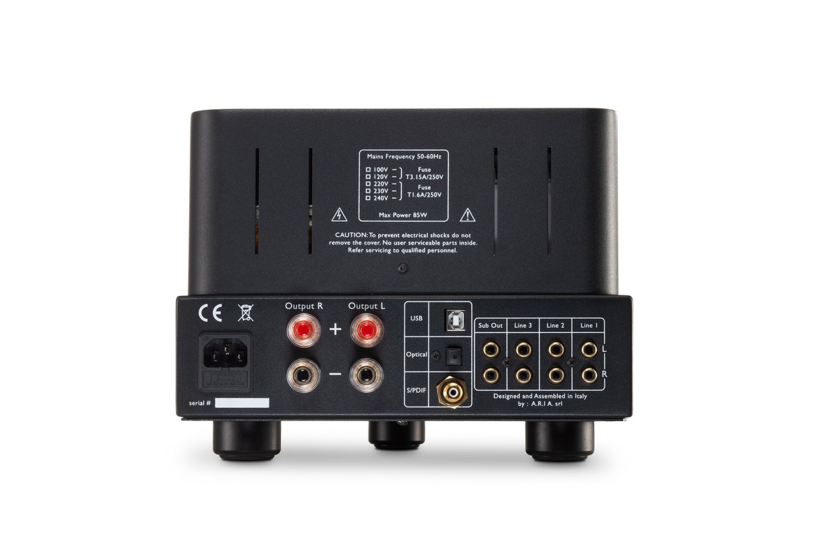 Rear panel with USB, optical and coaxial inputs next to the RCA sockets