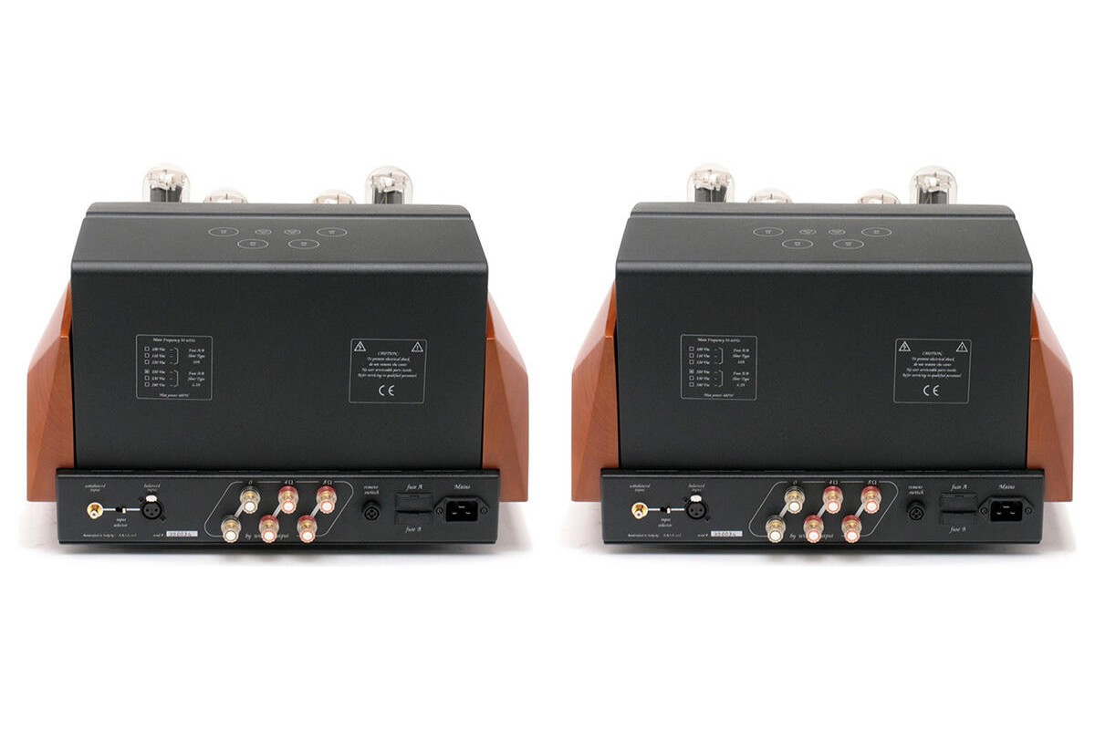 Rear panels of both units with terminals, input sockets and mains inlets
