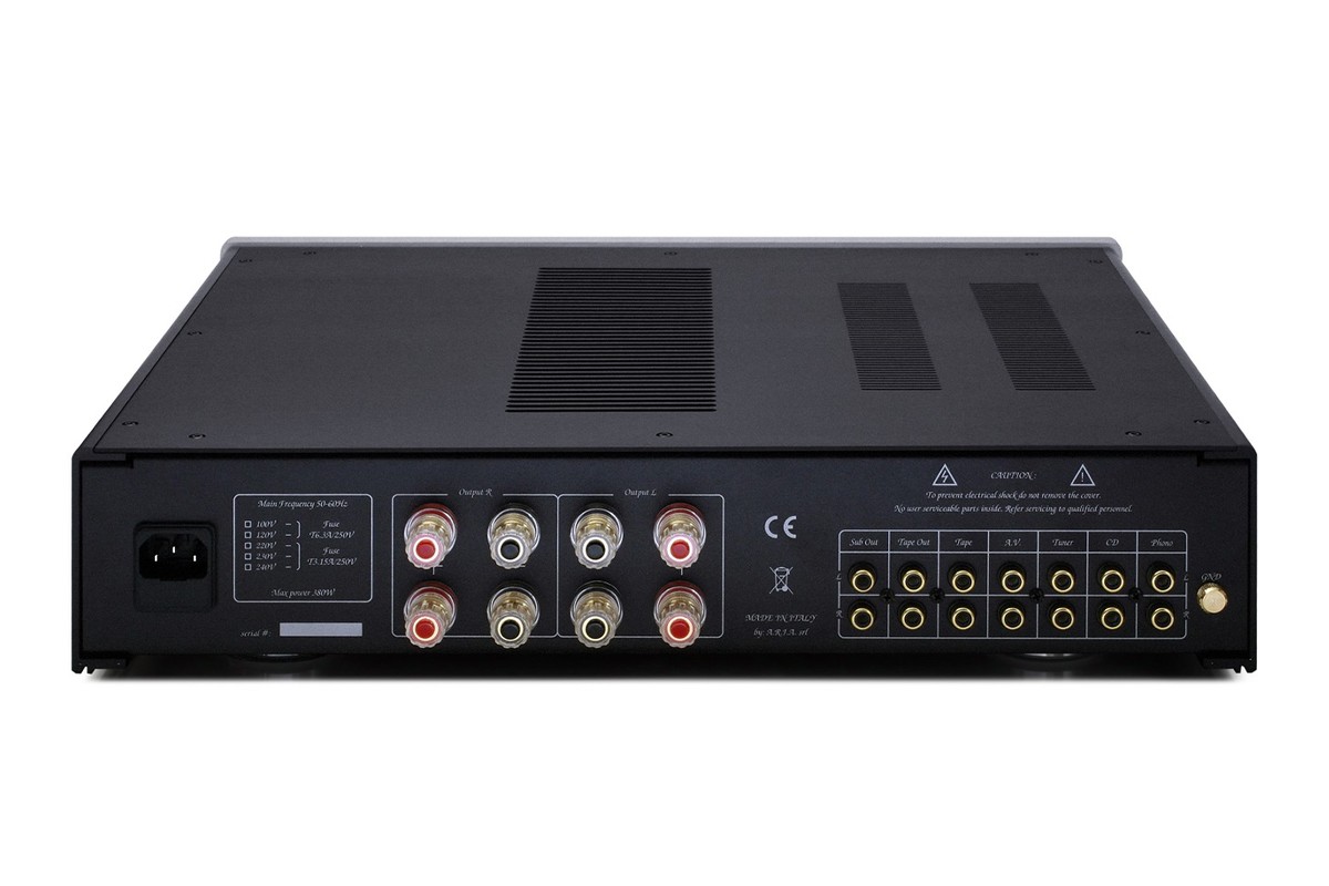 Rear panel with RCA inputs and double speaker terminals
