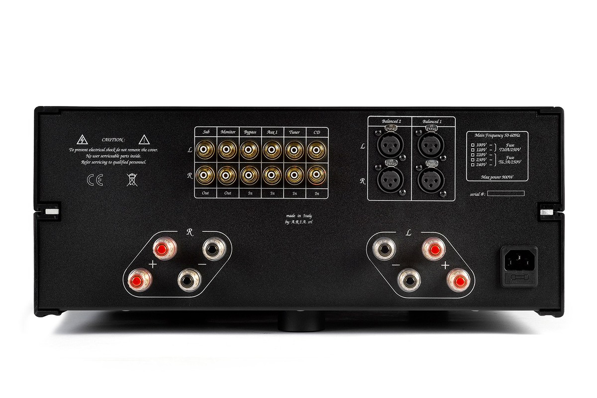 Rear panel with RCA and XLR inputs and two pairs of terminals per channel