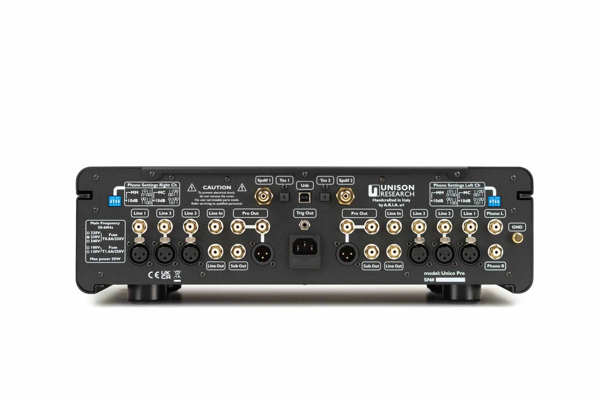 Pannello posteriore nero con prese RCA, XLR, digitali e regolazioni phono