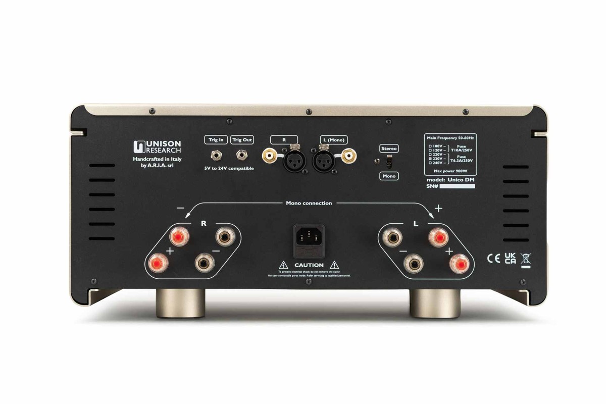 Rear panel with RCA and XLR inputs, speaker terminals and stereo/mono switch