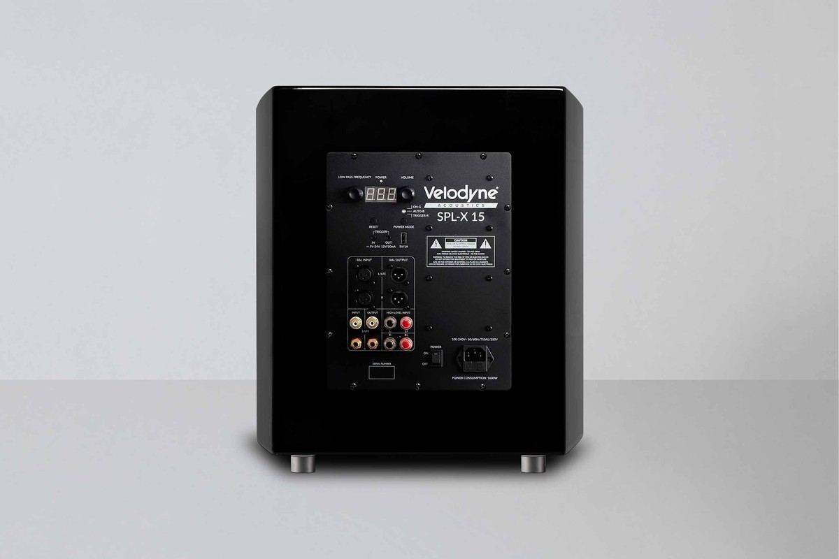 Module amplificateur vu de dos, entrées RCA et XLR