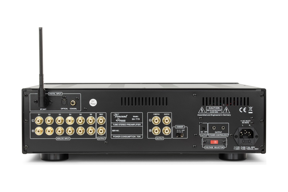 Rear panel, RCA inputs and digital connectors